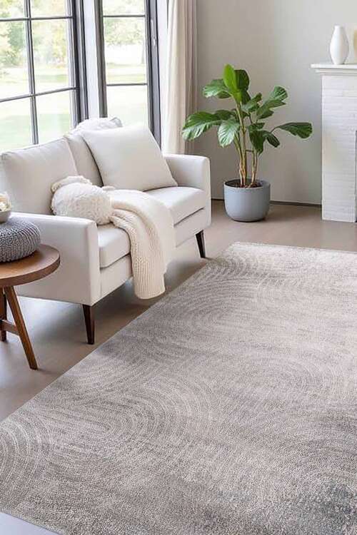 Modern Gray Rug