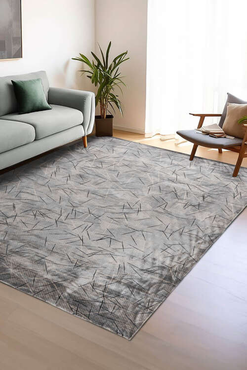 Modern Gray Rug